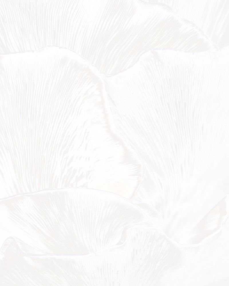 Alabaster Mushroom 2 art print by Leah Straatsma for $57.95 CAD