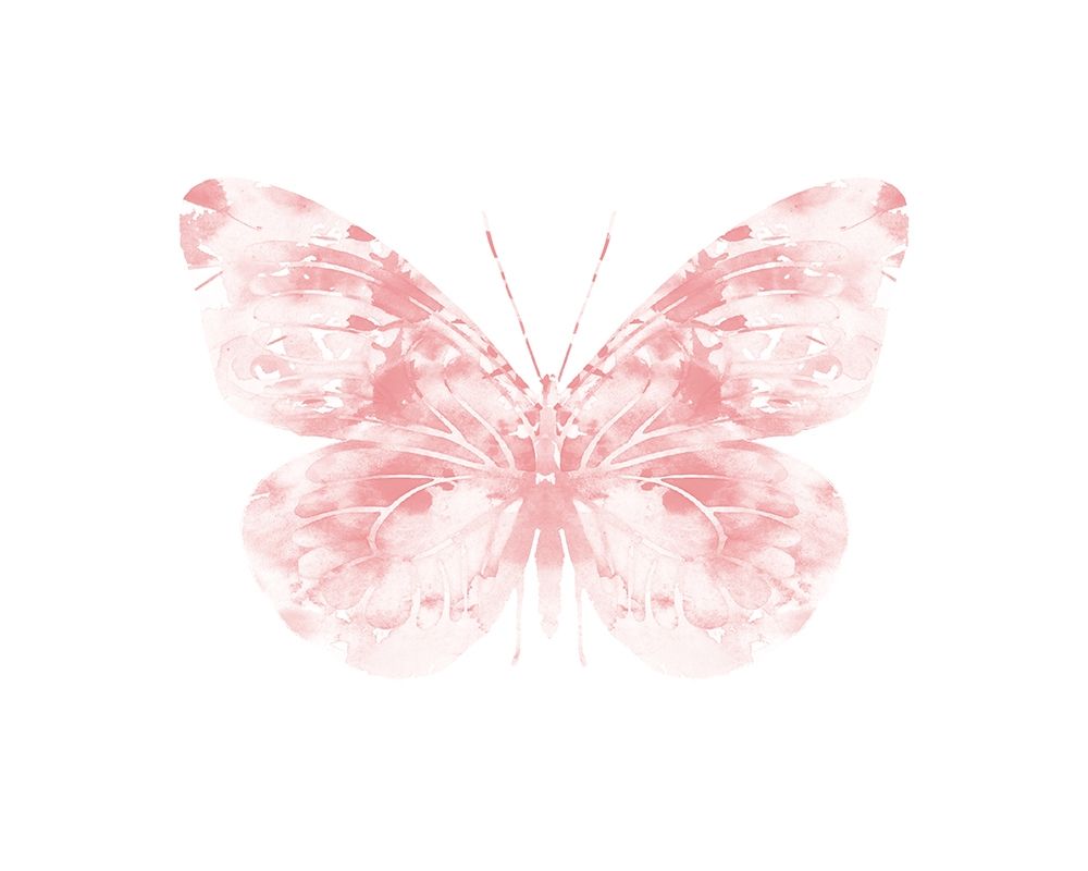Blush Butterfly art print by Leah Straatsma for $57.95 CAD