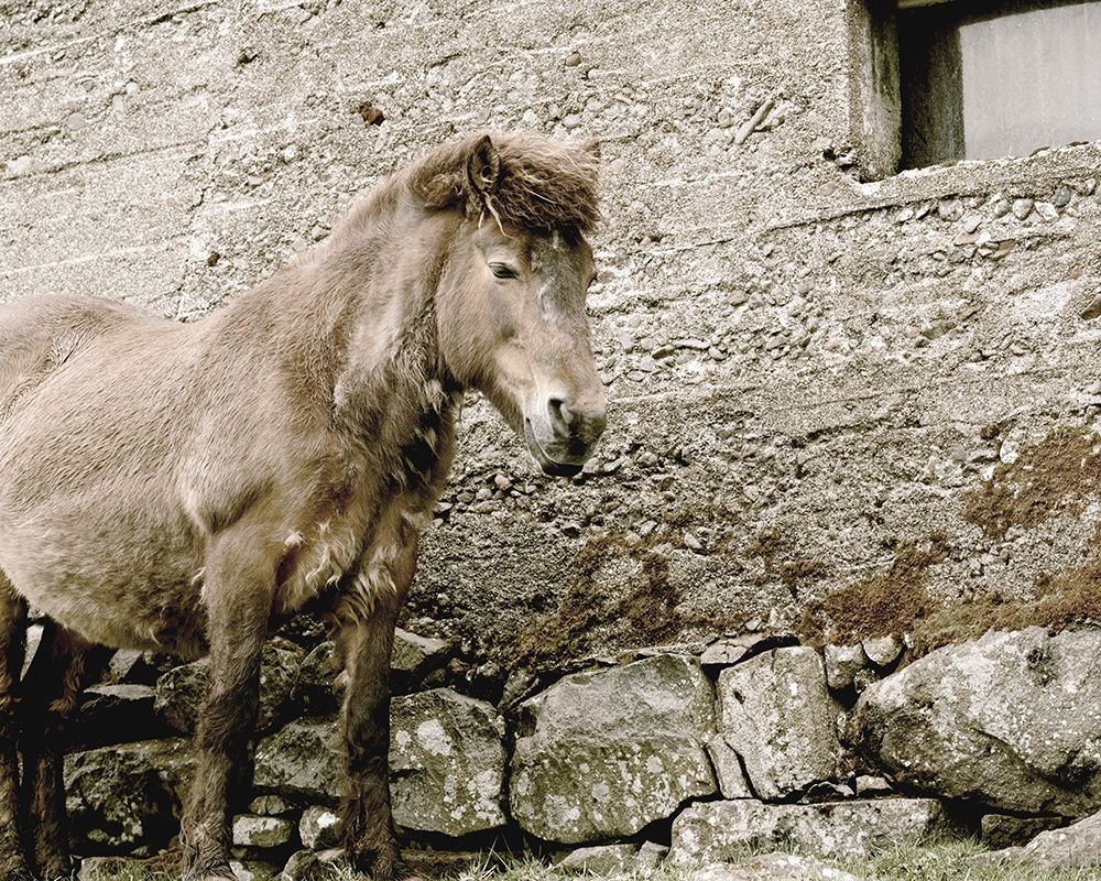 Brown Horse Rock Barn art print by Leah Straatsma for $57.95 CAD