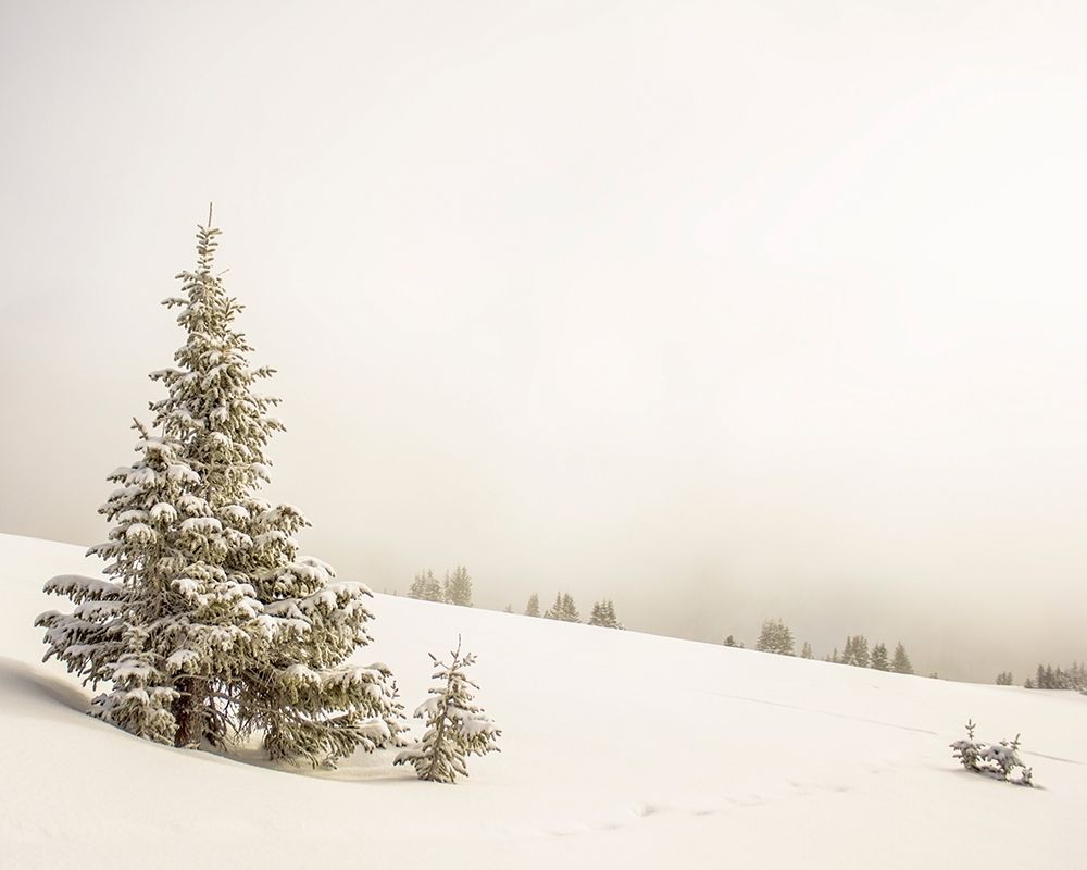 Hazy Winterland art print by Leah Straatsma for $57.95 CAD