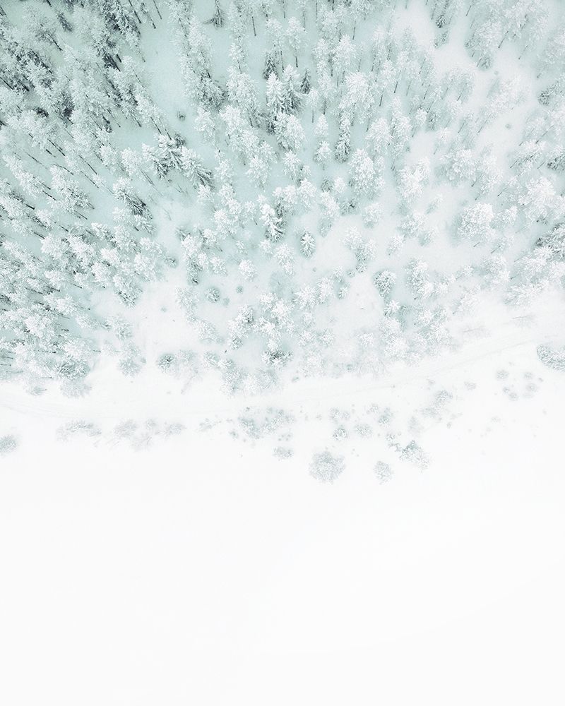 Winter Wonderland art print by Leah Straatsma for $57.95 CAD
