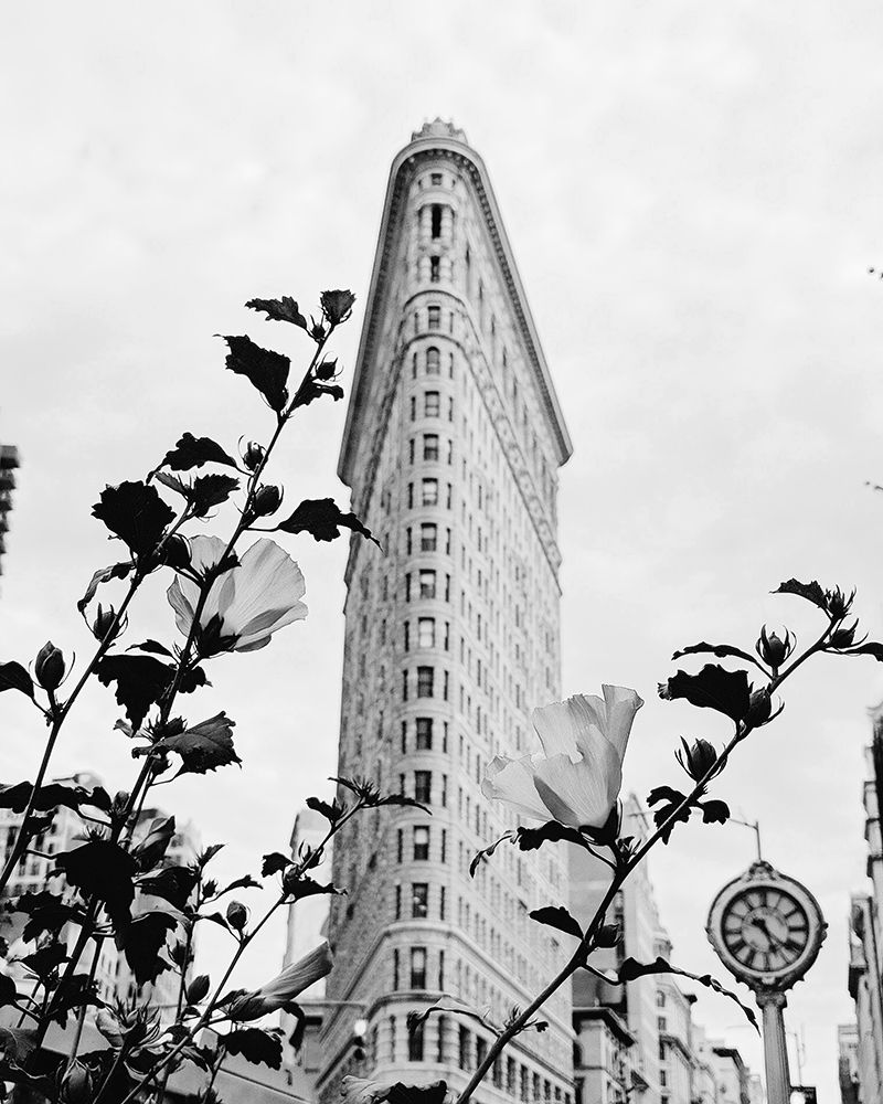 NYC Flatiron art print by Leah Straatsma for $57.95 CAD