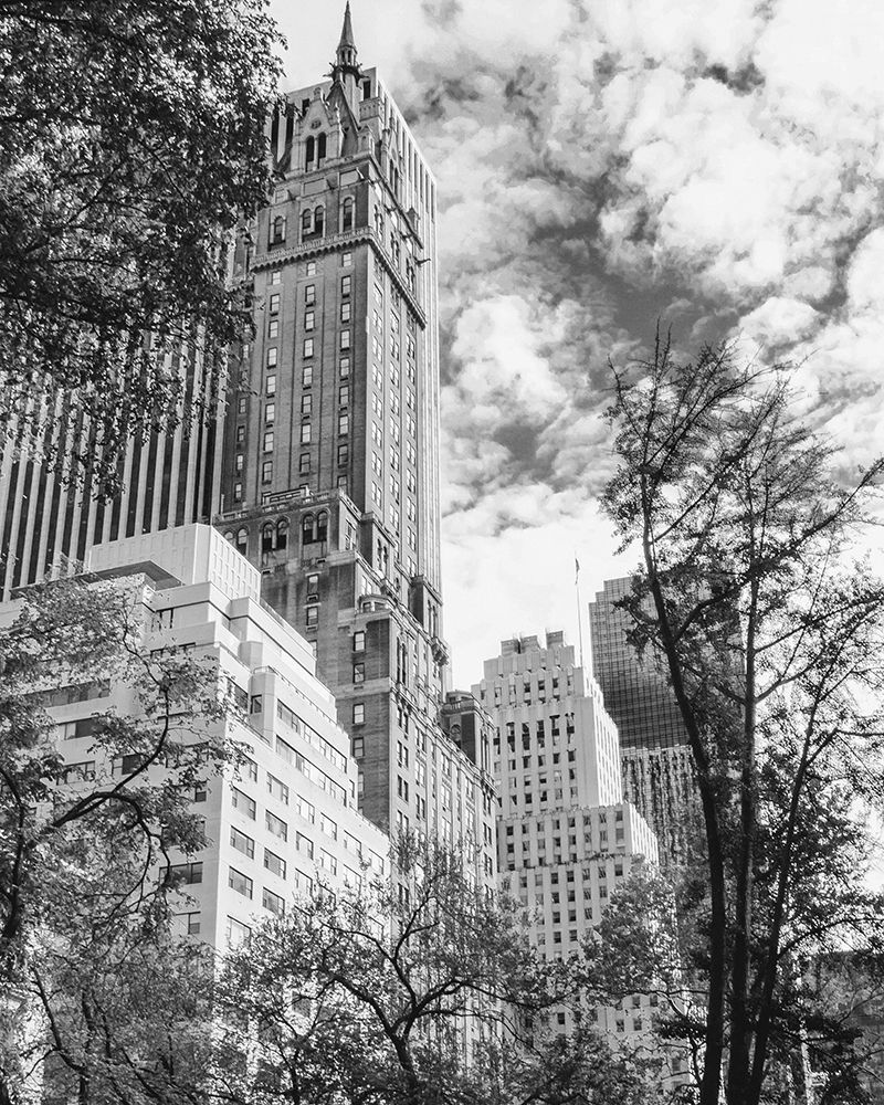 NYC Park Ave art print by Leah Straatsma for $57.95 CAD