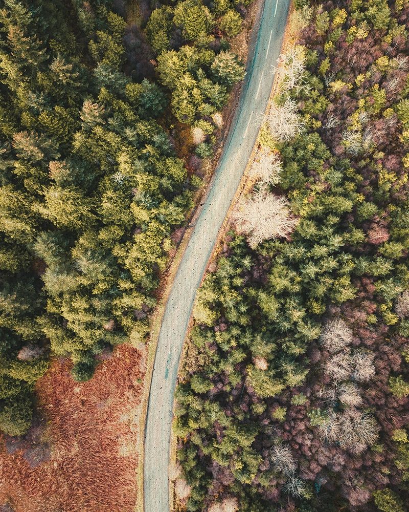 Road to the Cabin art print by Leah Straatsma for $57.95 CAD