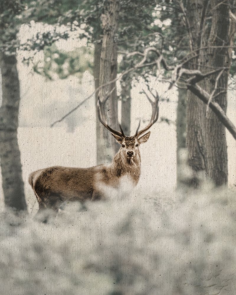 Textured Deer art print by Leah Straatsma for $57.95 CAD