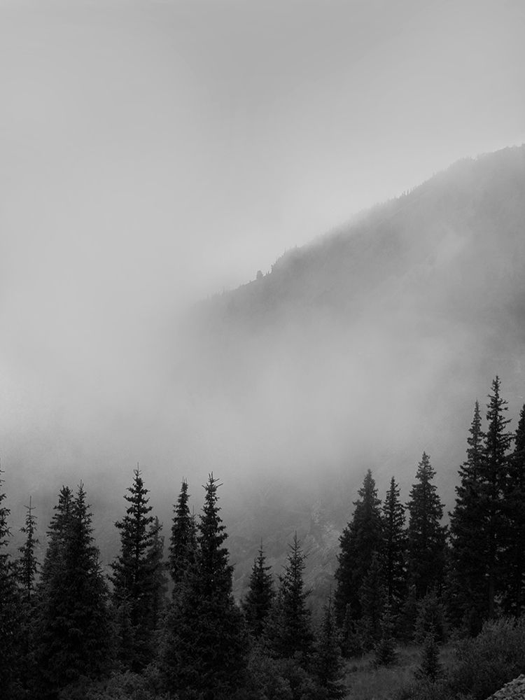 Smokey Mountains art print by Leah Straatsma for $57.95 CAD
