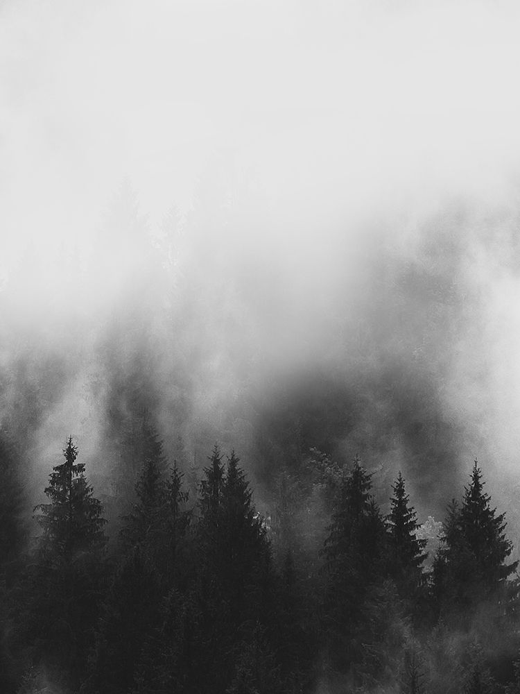 Trees and Smoke art print by Leah Straatsma for $57.95 CAD