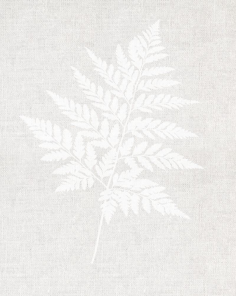 Fern Wall Art art print by Leah Straatsma for $57.95 CAD