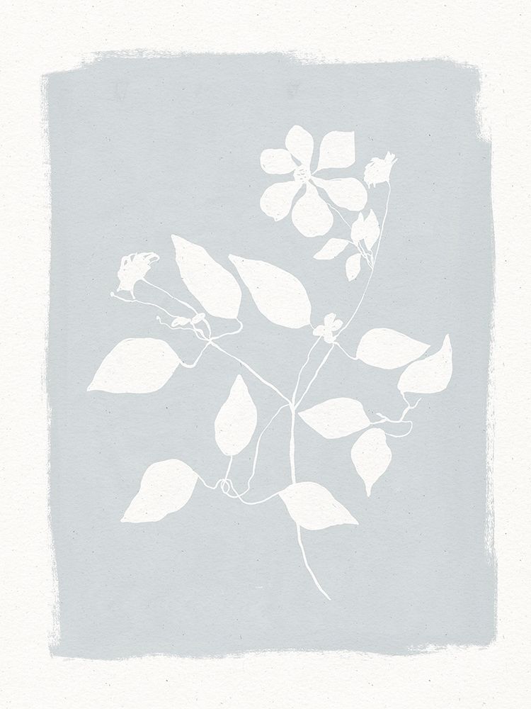 Pressed Daisies art print by Leah Straatsma for $57.95 CAD