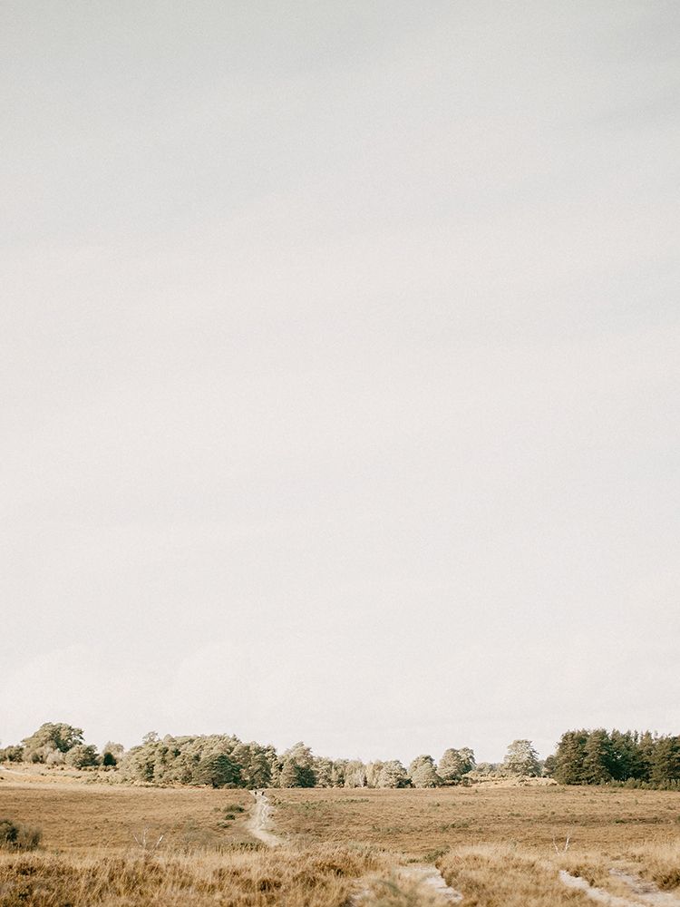 Fields in the Fall art print by Leah Straatsma for $57.95 CAD