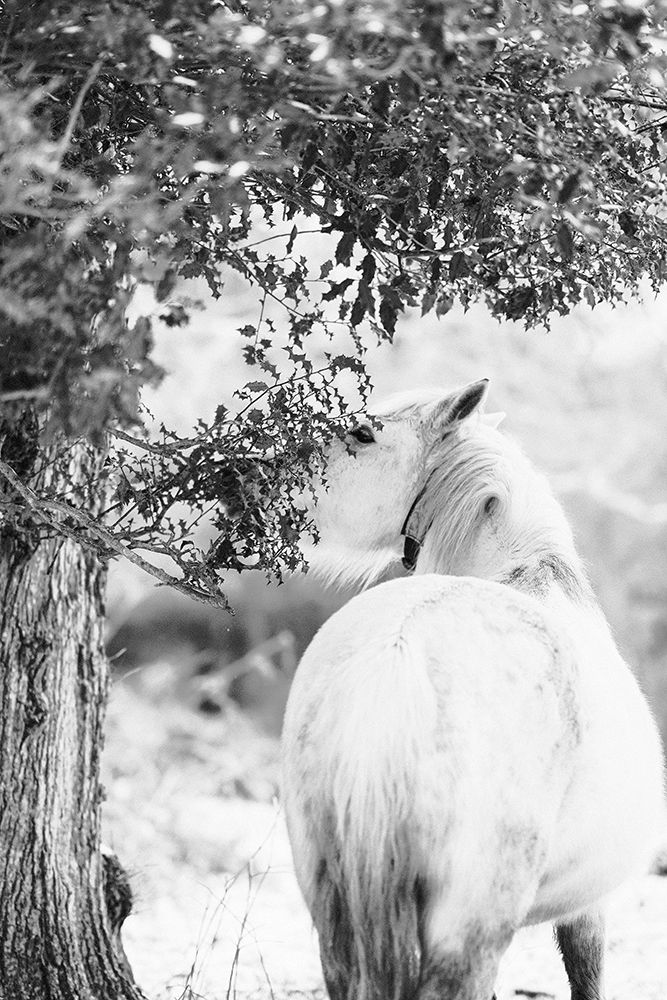 Gift From The Tree art print by Leah Straatsma for $57.95 CAD