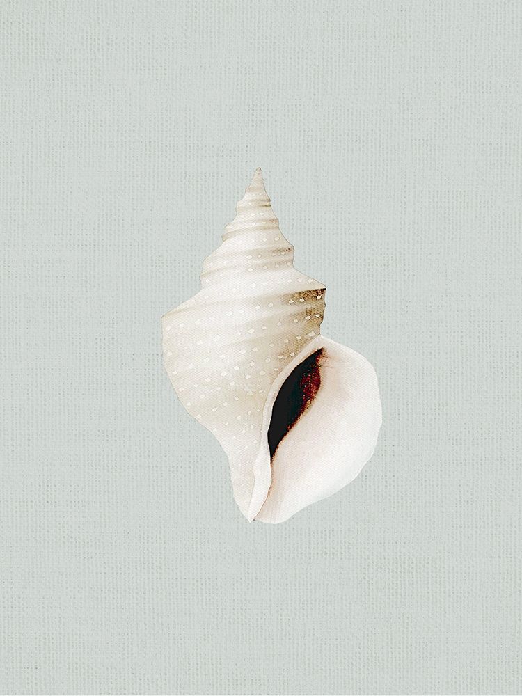 Ocean Shell art print by Leah Straatsma for $57.95 CAD