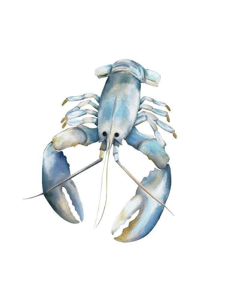 Blue Lobster art print by Leah Straatsma for $57.95 CAD
