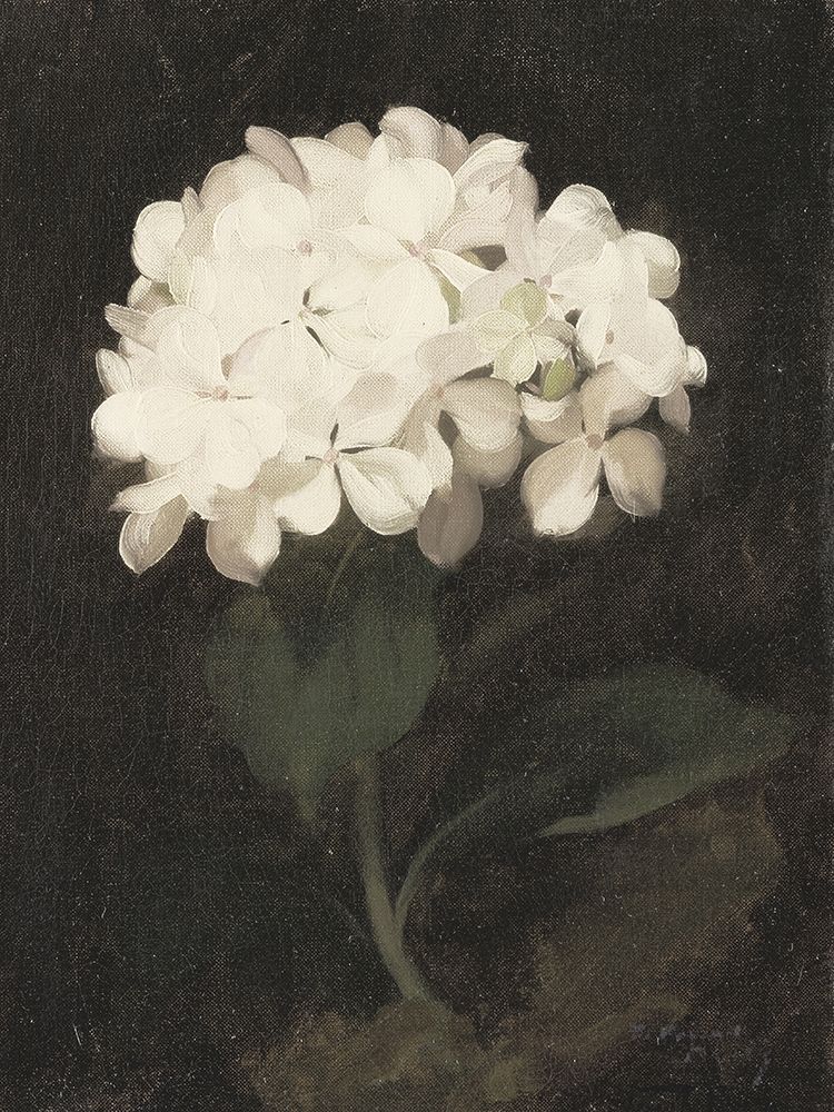 White Hydrangea art print by Leah Straatsma for $57.95 CAD