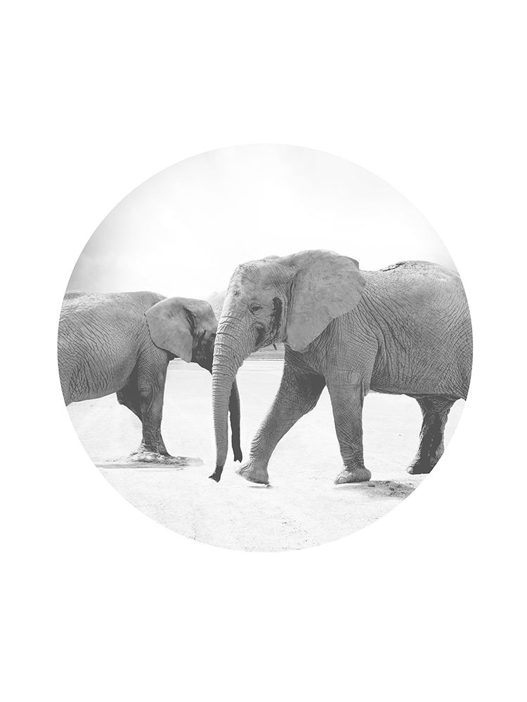 Circle Grey Elephants art print by Leah Straatsma for $57.95 CAD
