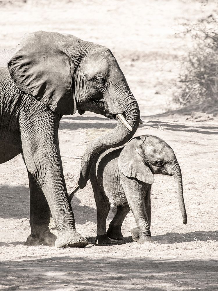 Mama And Baby art print by Leah Straatsma for $57.95 CAD