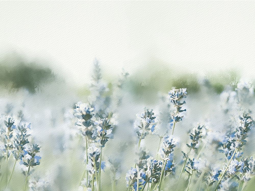 Close Field art print by Leah Straatsma for $57.95 CAD