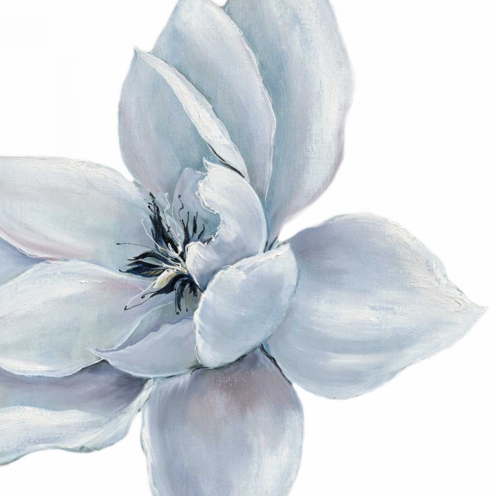 Blue Satin Withaar 2 art print by May for $57.95 CAD