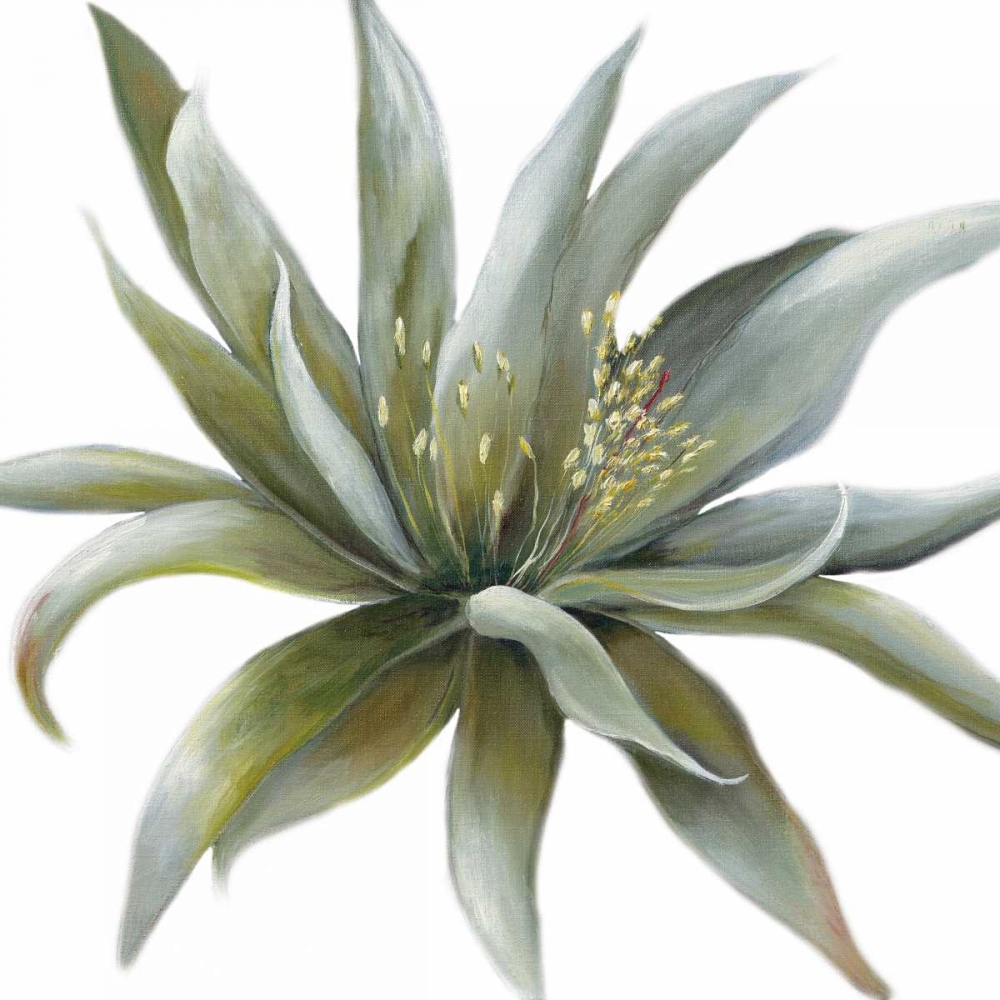 Wonderous Rays Withaar art print by May for $57.95 CAD