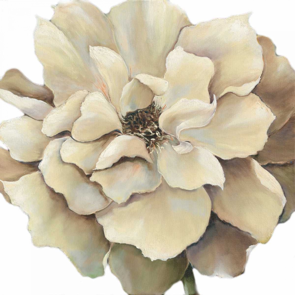 Sunshine Precious Withaar art print by May for $57.95 CAD