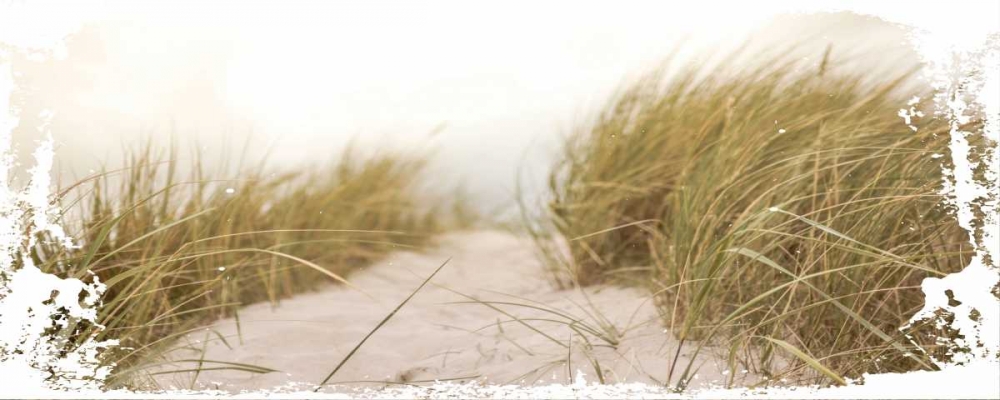Coastal Photography 2 art print by Melody Hogan for $57.95 CAD