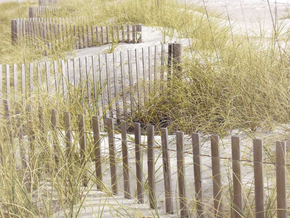 Coastal Photograpy Textured art print by Melody Hogan for $57.95 CAD