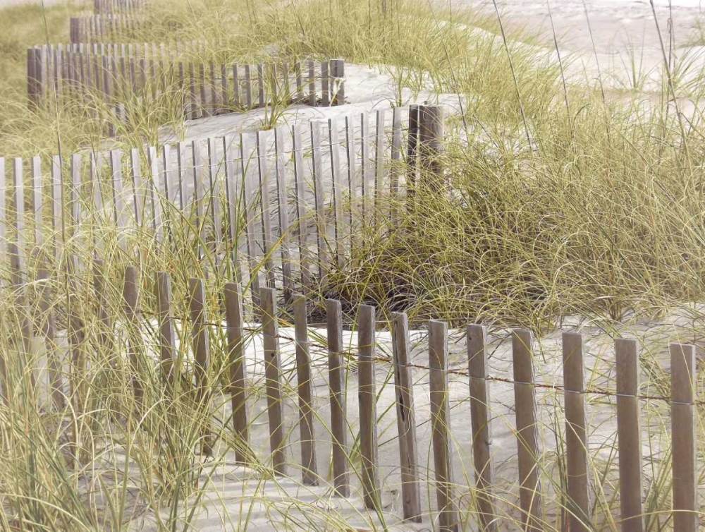 Coastal Photograpy Untextured art print by Melody Hogan for $57.95 CAD