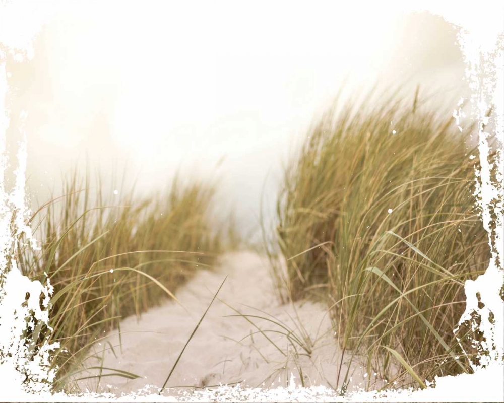 Coastal Photography 2 art print by Melody Hogan for $57.95 CAD