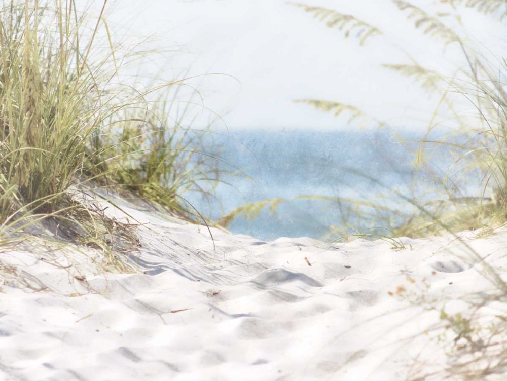 Coastal Photograpy Textured art print by Melody Hogan for $57.95 CAD