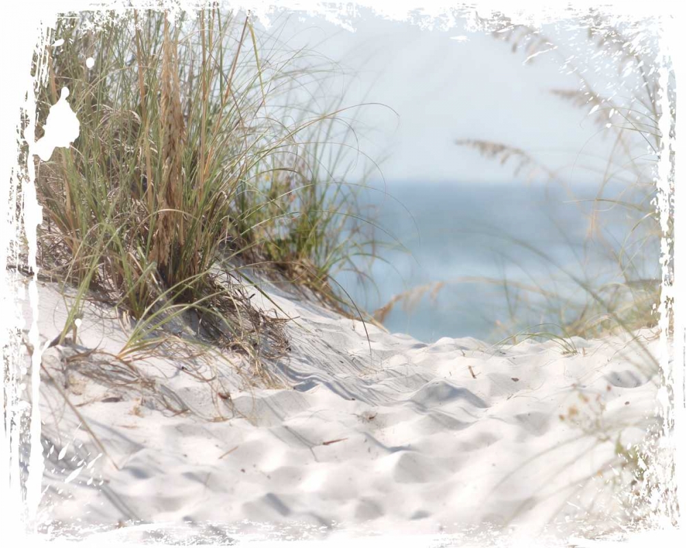 PrintCoastal Photography 4 art print by Melody Hogan for $57.95 CAD