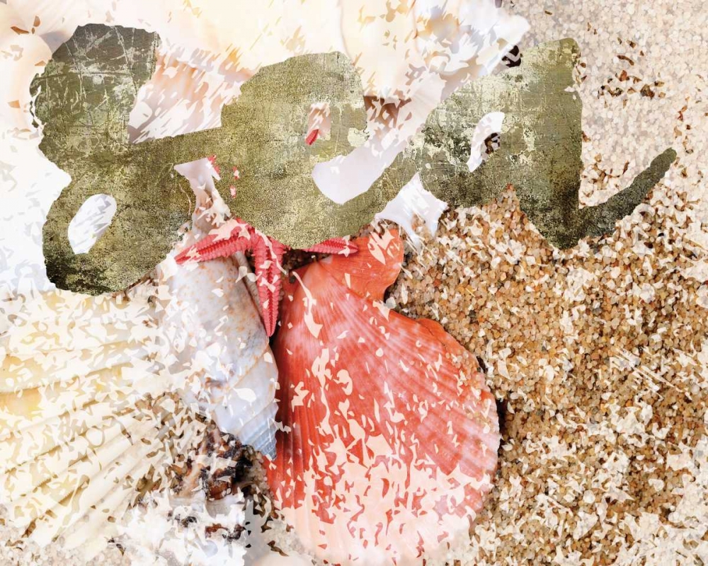 Coral Scallop art print by Melody Hogan for $57.95 CAD