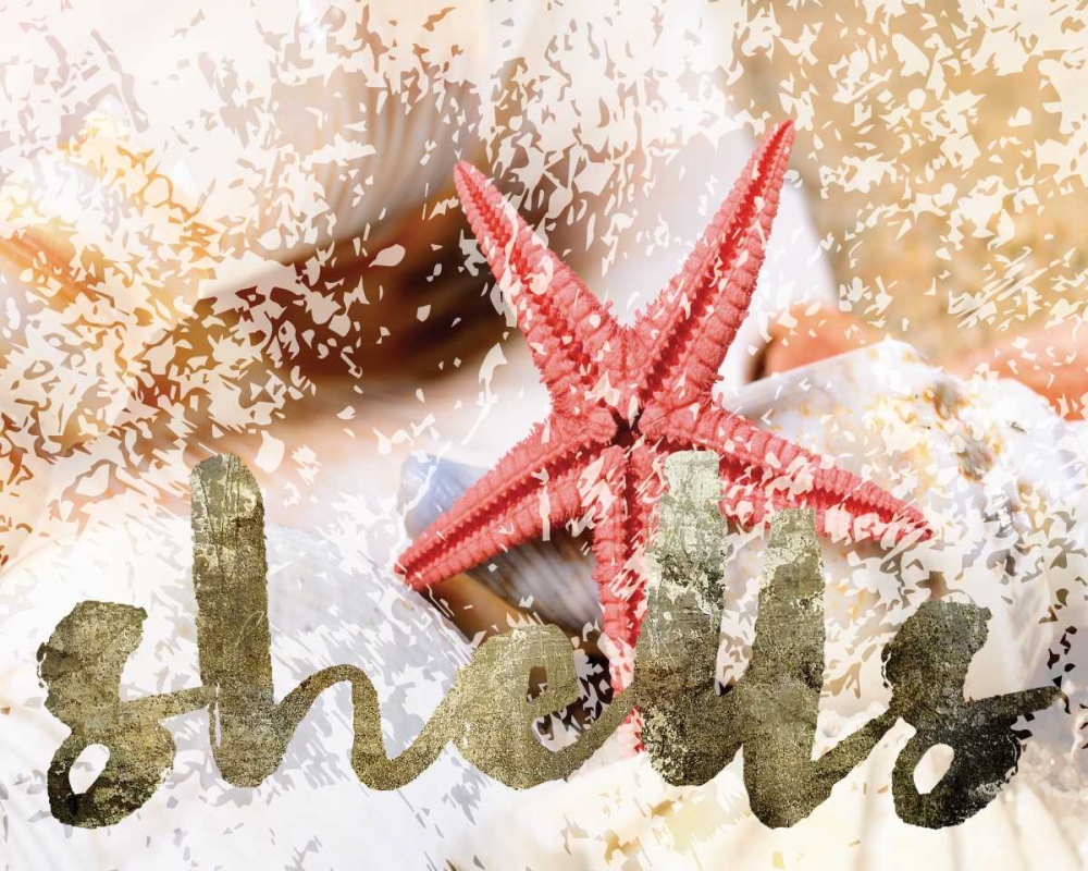 Coral Starfish art print by Melody Hogan for $57.95 CAD