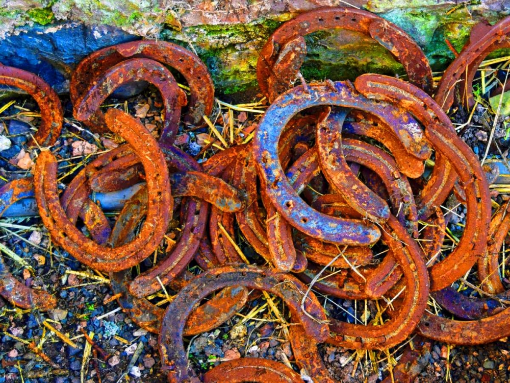 Bright Horse Shoes art print by Melody Hogan for $57.95 CAD