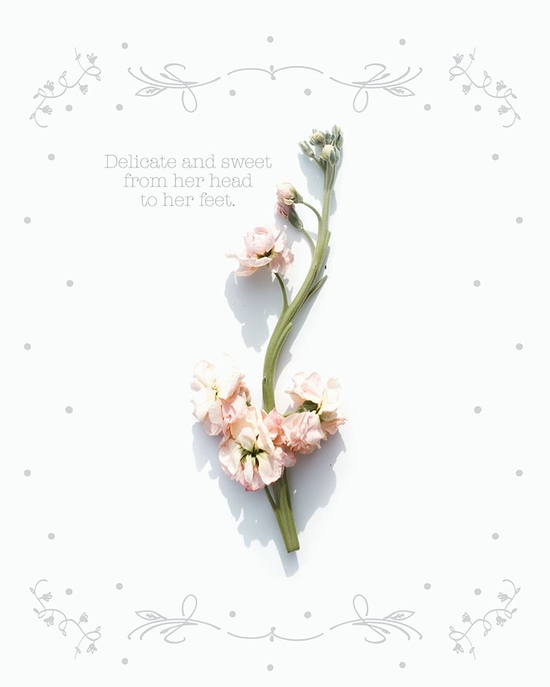 Baby Floral 1 art print by Melody Hogan for $57.95 CAD