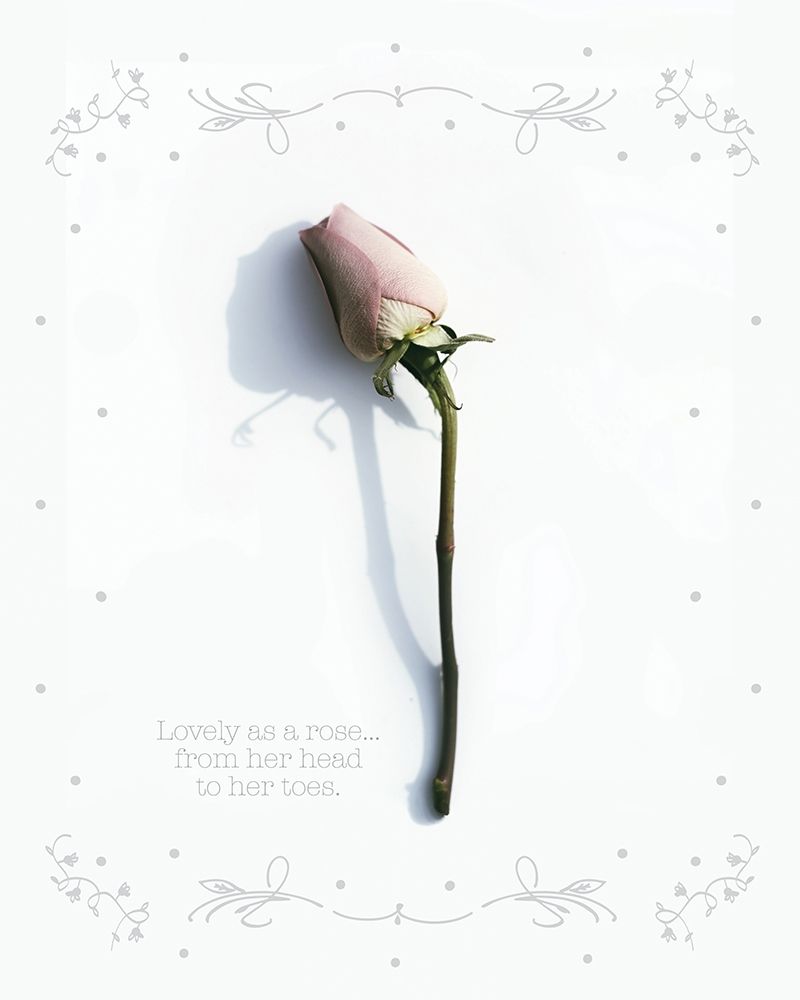Baby Floral 2 art print by Melody Hogan for $57.95 CAD