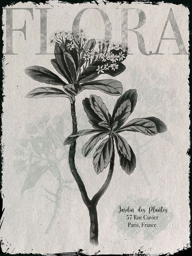 Vintage Botanical 2 art print by Melody Hogan for $57.95 CAD
