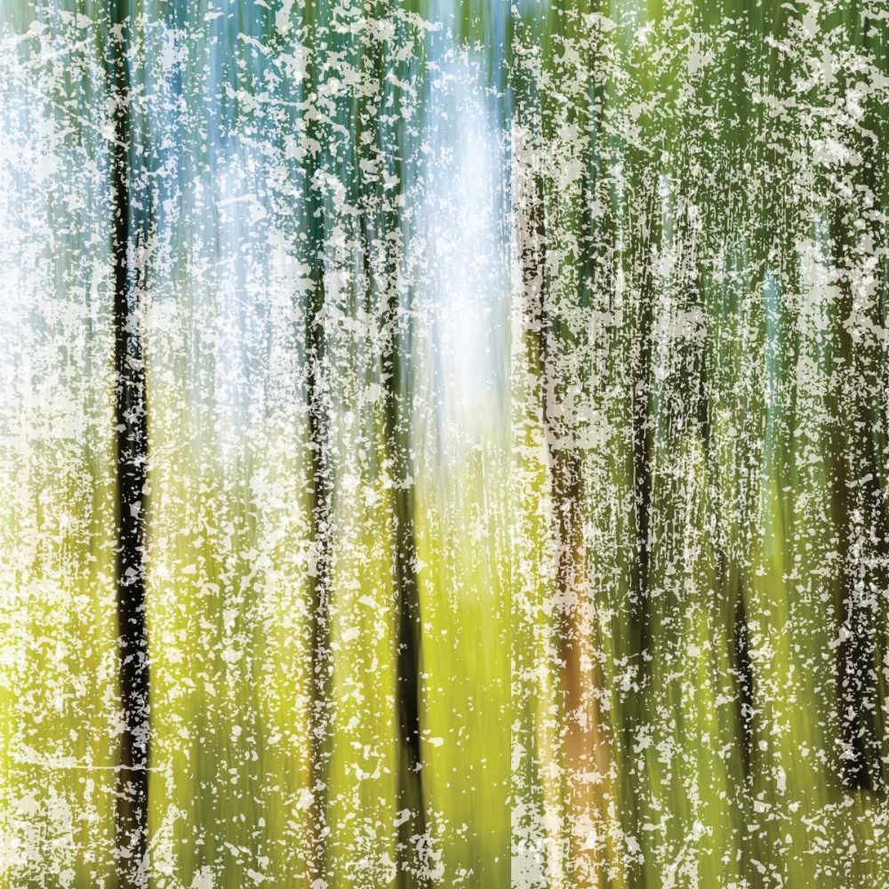 Distressed Forest art print by Melody Hogan for $57.95 CAD