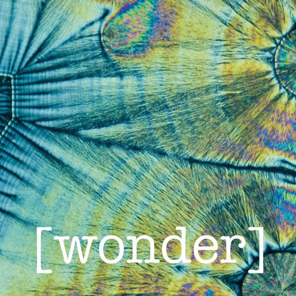 Wondering Coconuts art print by Melody Hogan for $57.95 CAD