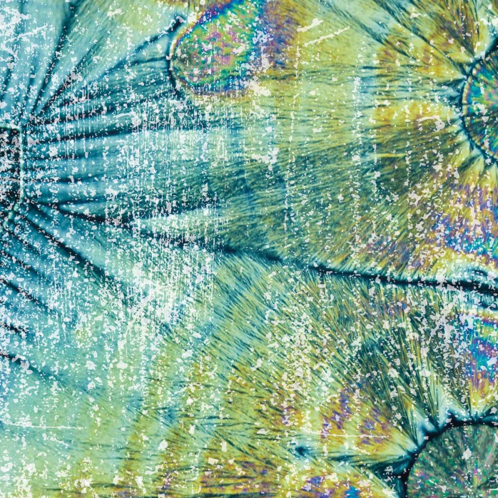 Distressed Coconuts art print by Melody Hogan for $57.95 CAD