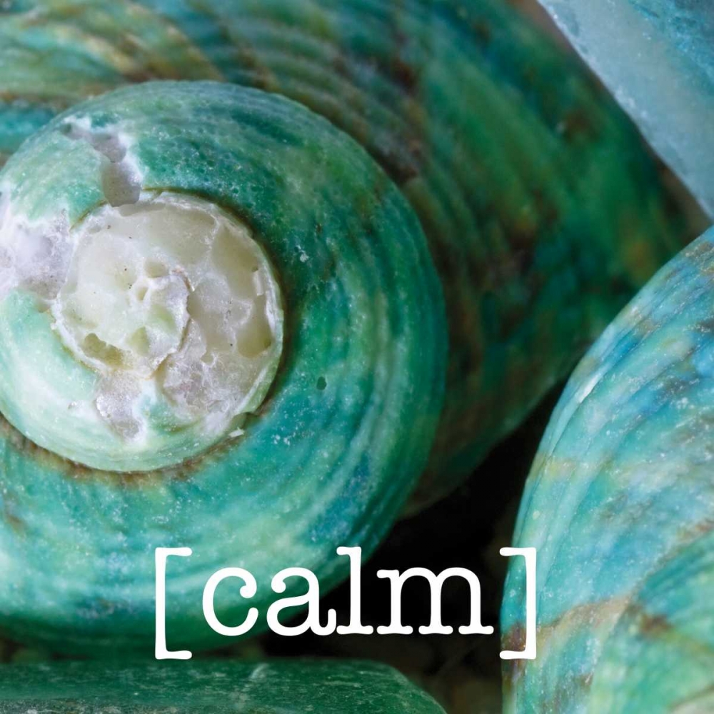 Calming Shells art print by Melody Hogan for $57.95 CAD