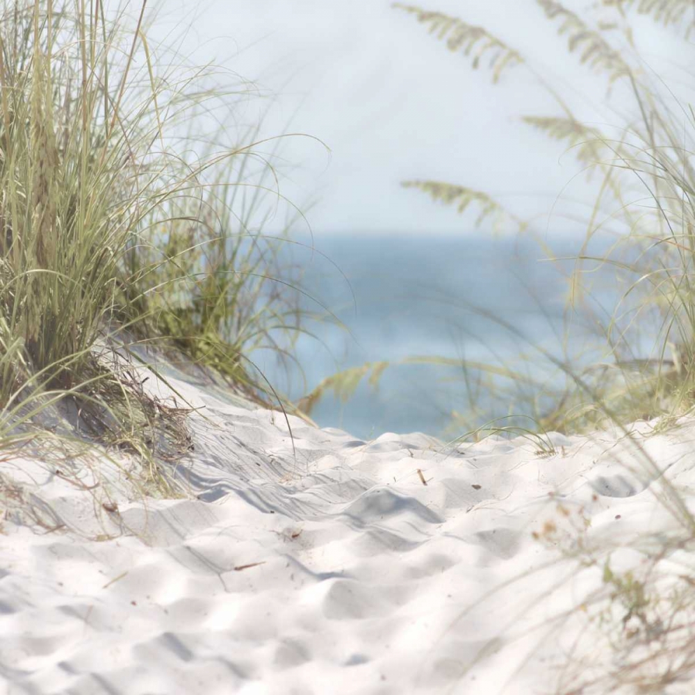 Over The Coastal Dune art print by Melody Hogan for $57.95 CAD