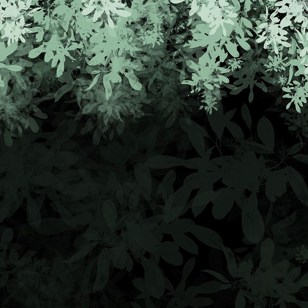 Dark Tropical I art print by Melody Hogan for $57.95 CAD