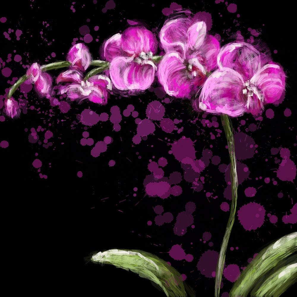 Fuschia Orchid art print by Melody Hogan for $57.95 CAD