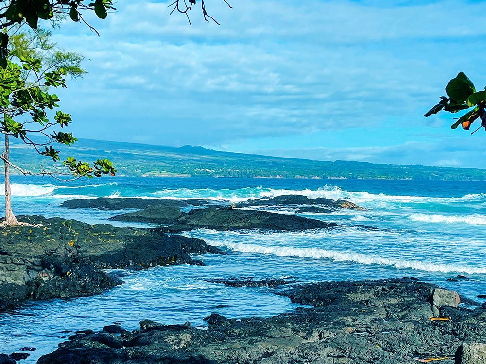 Hamakua Gaze 2 art print by Melissa Nebula for $57.95 CAD