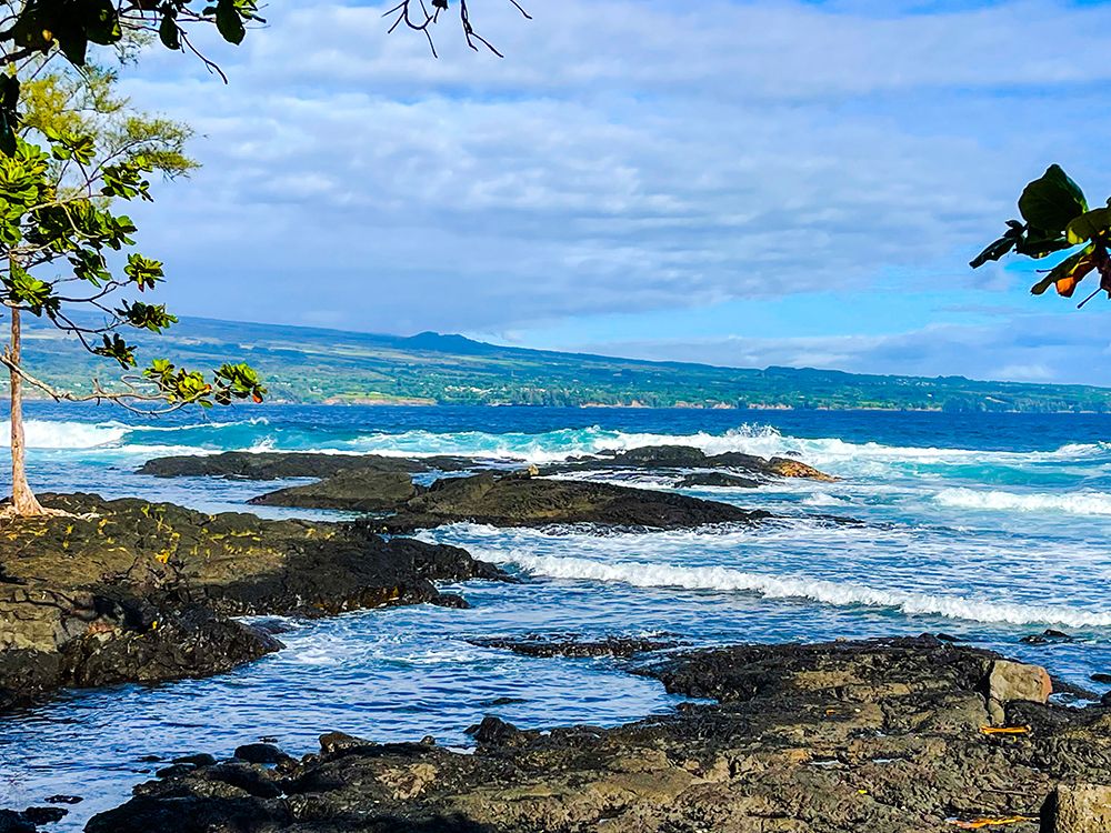 Hamakua Gaze art print by Melissa Nebula for $57.95 CAD