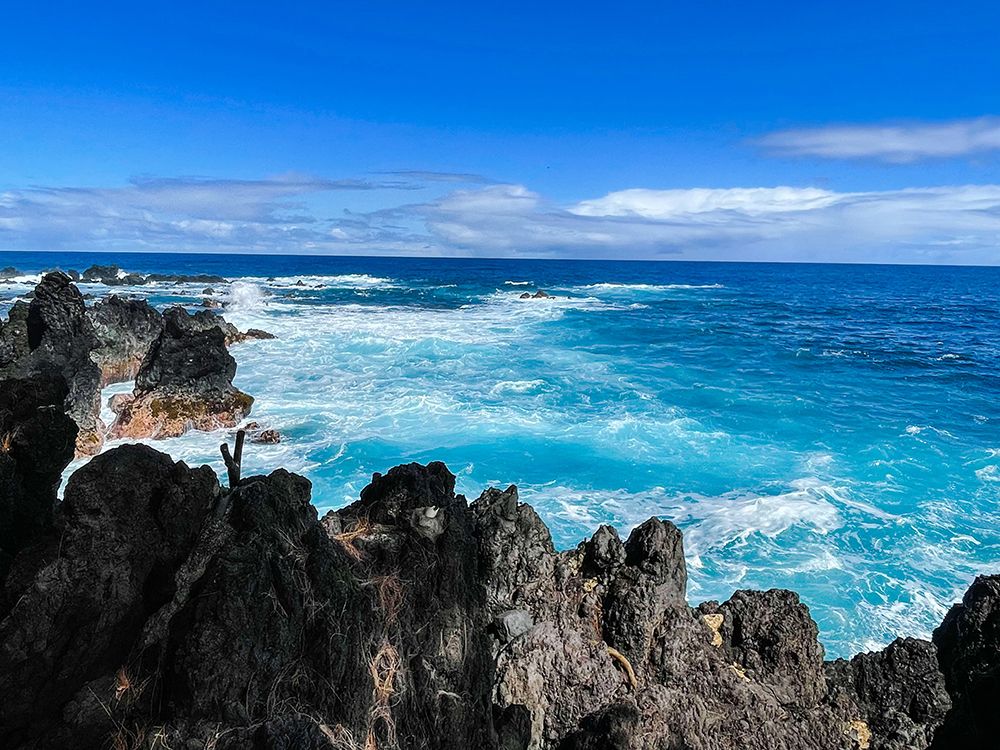 Puna Churn art print by Melissa Nebula for $57.95 CAD