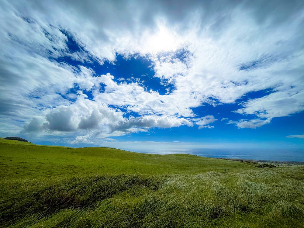 Hills of Kohala art print by Melissa Nebula for $57.95 CAD