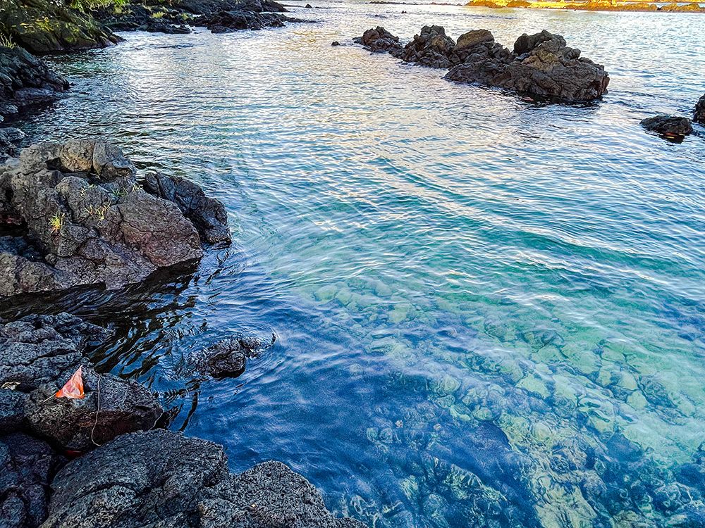 Ocean Echoes art print by Melissa Nebula for $57.95 CAD
