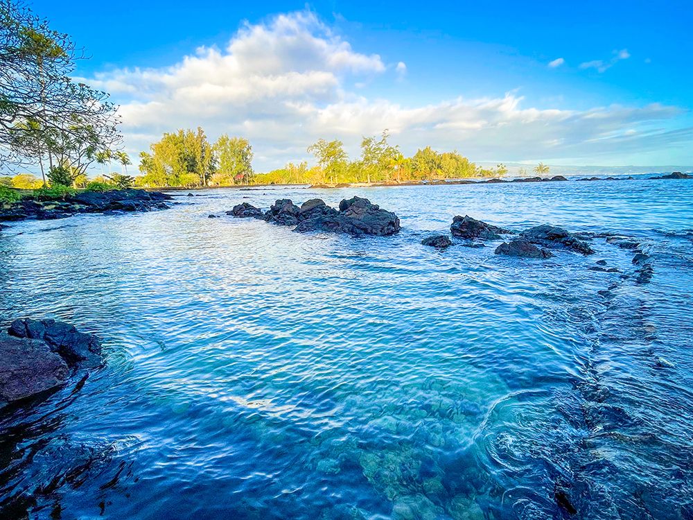 Pacific Morning Revival art print by Melissa Nebula for $57.95 CAD