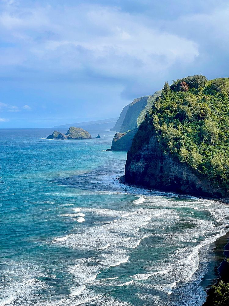 Pololu art print by Melissa Nebula for $57.95 CAD